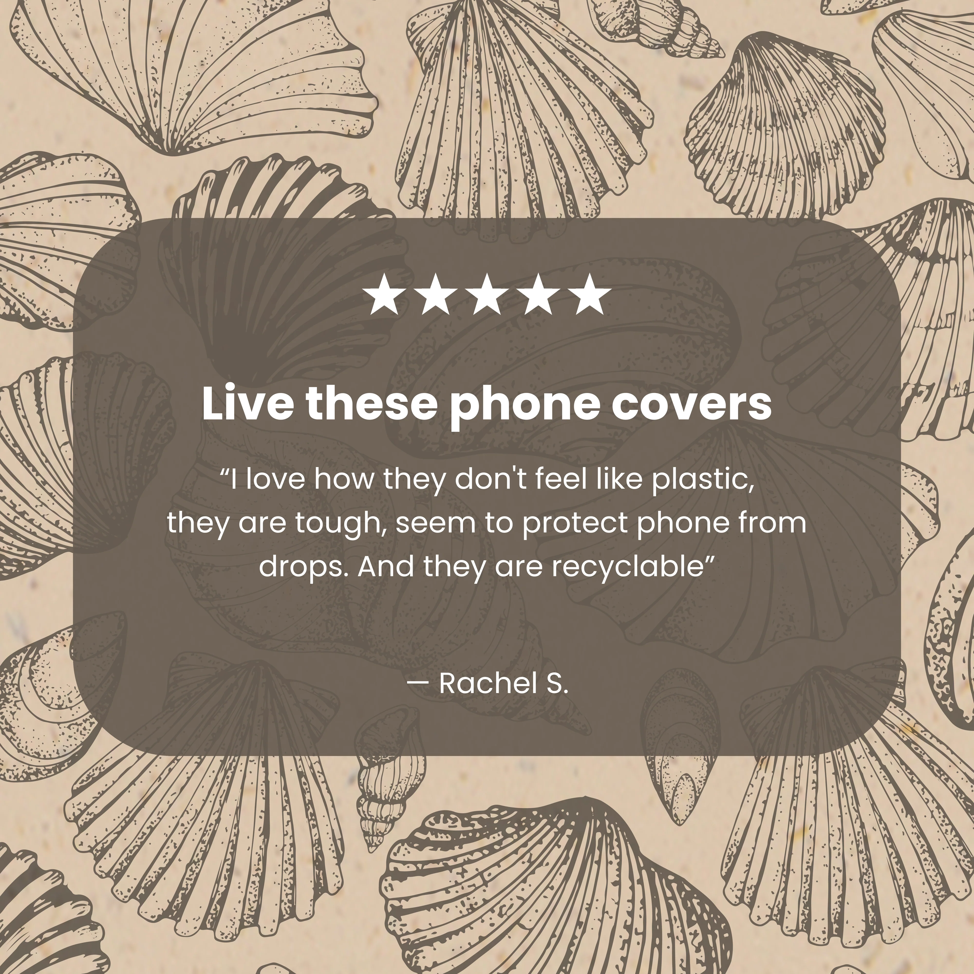 Seashell Seashore iPhone 14 Plus Case - Image 4